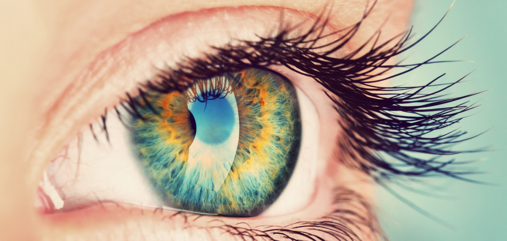 AREDS Studien - Ein Beitrag für deine Augengesundheit